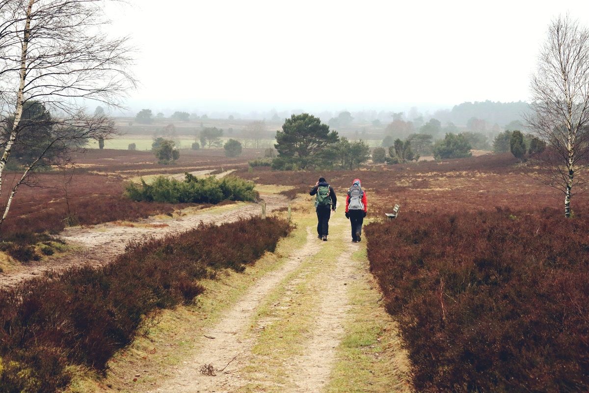 Hiking Lüneburger Heide