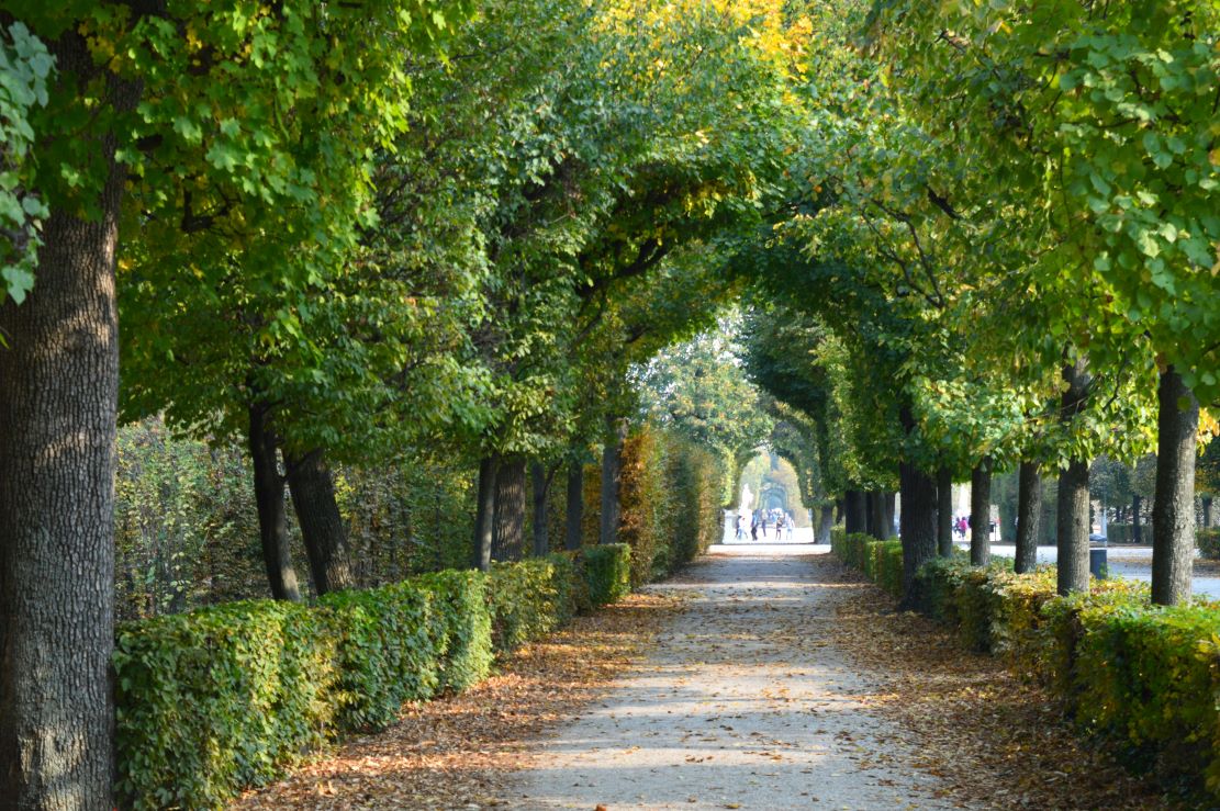 Gardens of Schönbrunn in Vienna