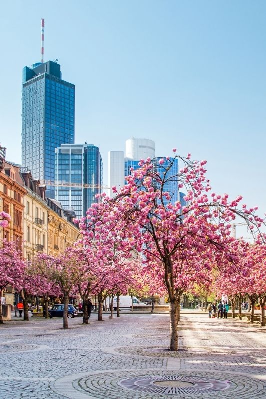 a&o Hostels & Hotels - central, affordable and comfortable